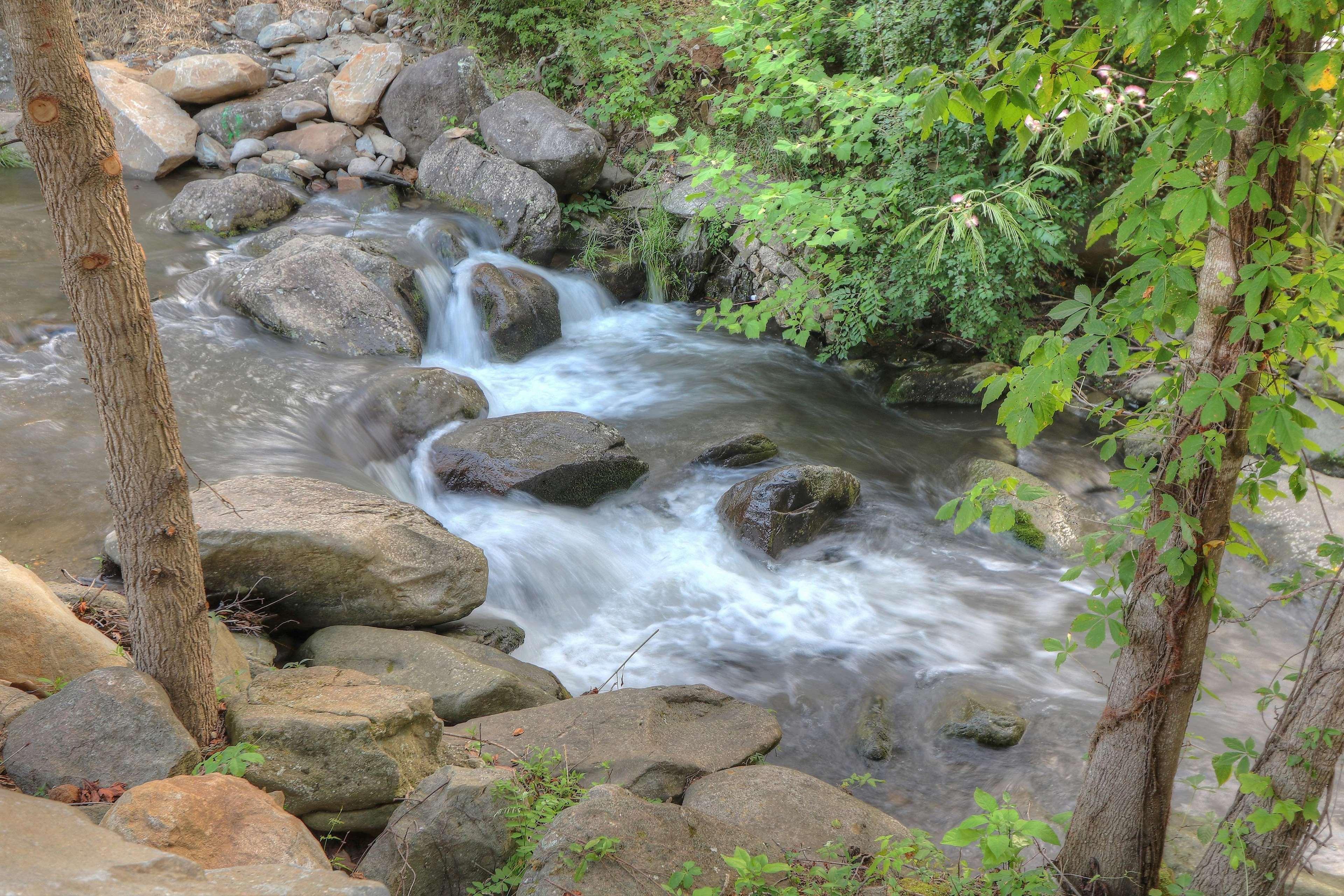 Hampton Inn Gatlinburg Historic Nature Trail, Tn Eksteriør billede